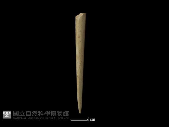 石器藏品圖，第2張