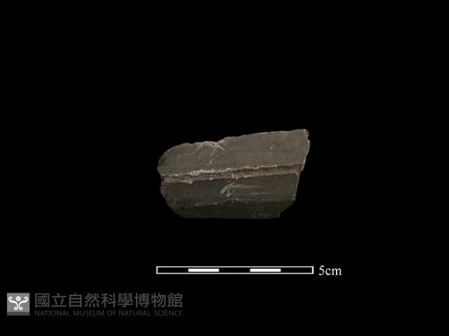 磨製石器藏品圖，第1張