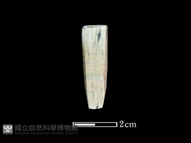 錛鑿形器藏品圖，第2張