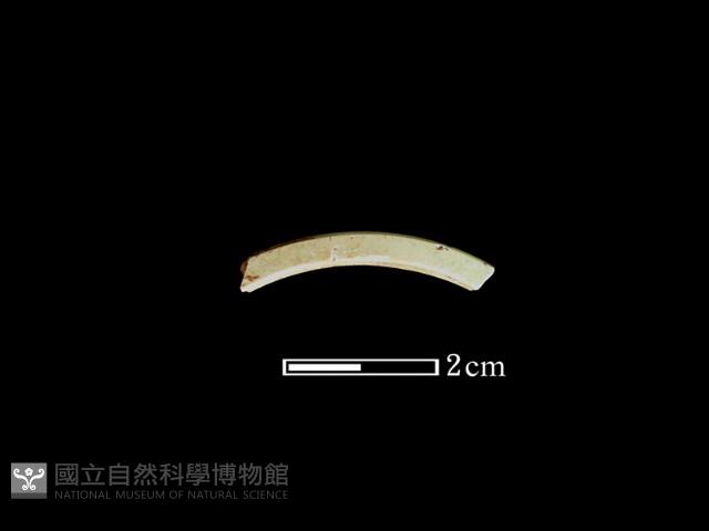 玉環藏品圖，第2張