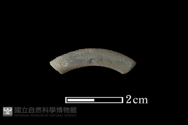 陶環藏品圖，第1張