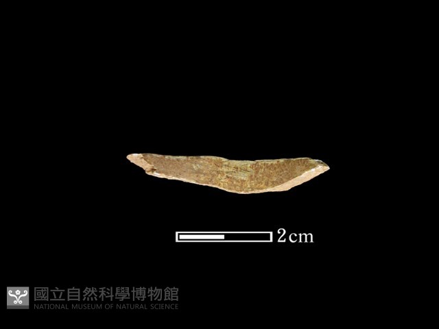 玉環藏品圖，第2張