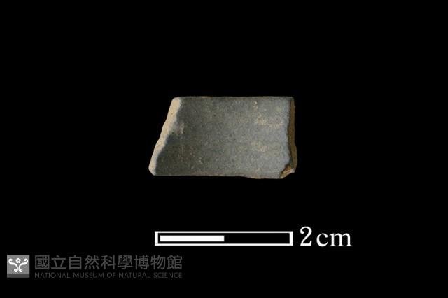 陶環藏品圖，第1張