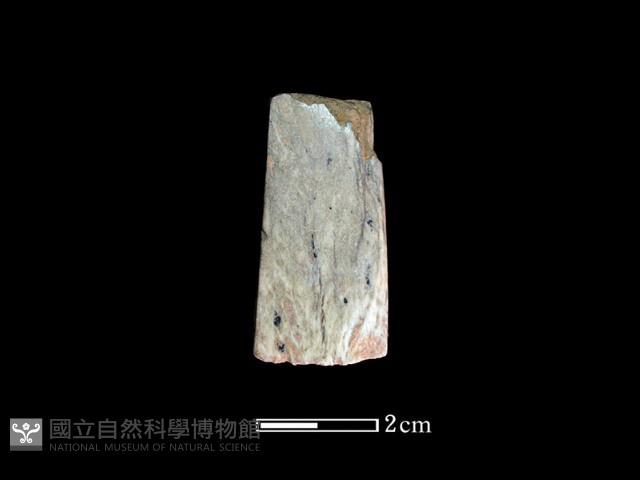錛鑿形器藏品圖，第2張