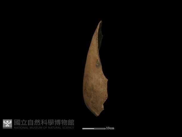 陶罐藏品圖，第3張