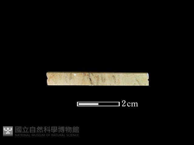 管珠藏品圖，第1張
