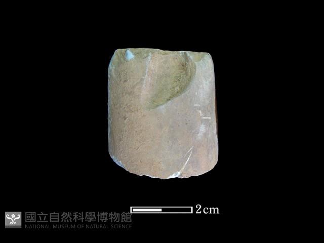 錛鑿形器藏品圖，第2張