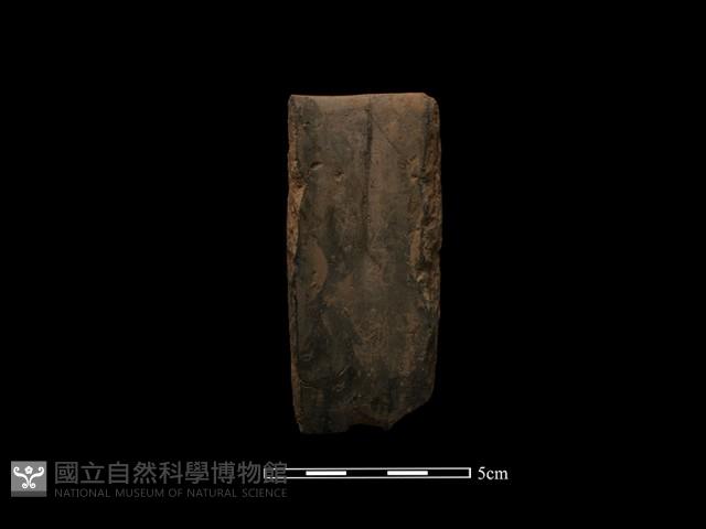 陶環藏品圖，第2張