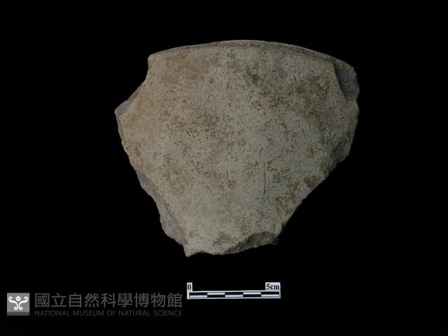 陶片藏品圖，第1張