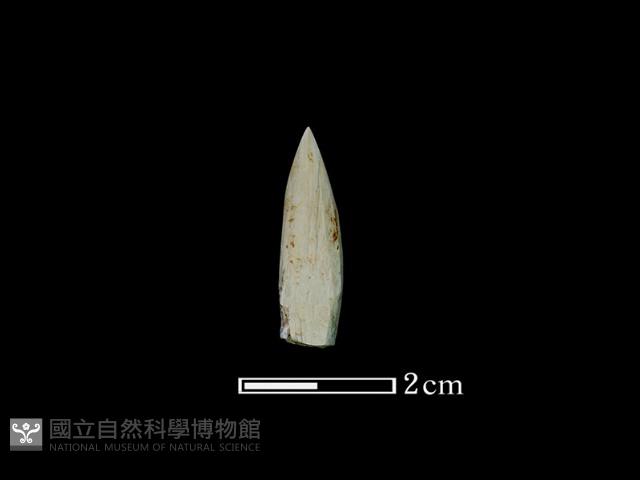 鑽頭藏品圖，第2張