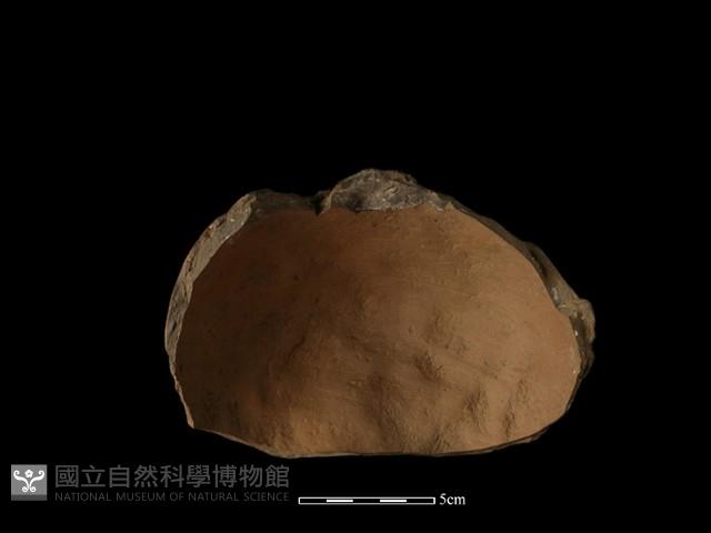 陶缽藏品圖，第1張