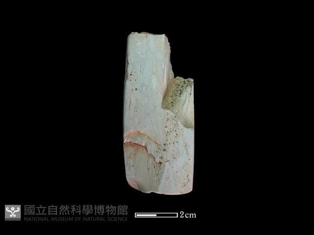 錛鑿形器藏品圖，第1張