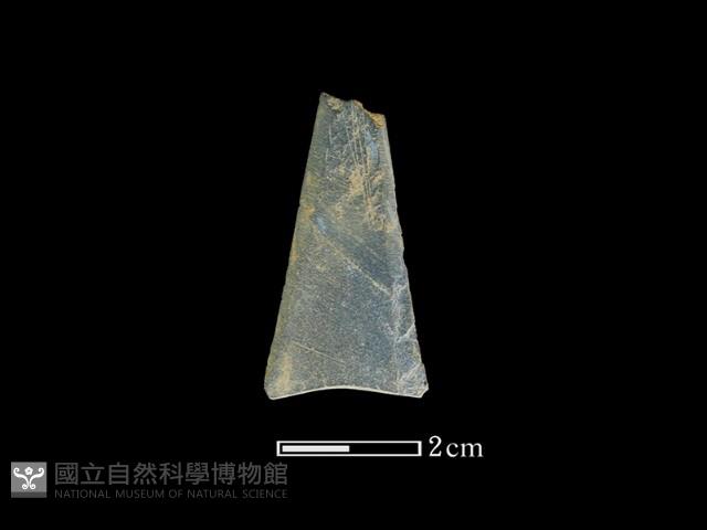 矛鏃形器藏品圖，第2張