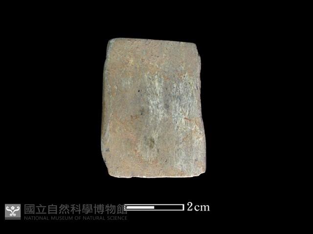 錛鑿形器藏品圖，第2張