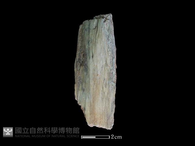 矛鏃形器藏品圖，第1張