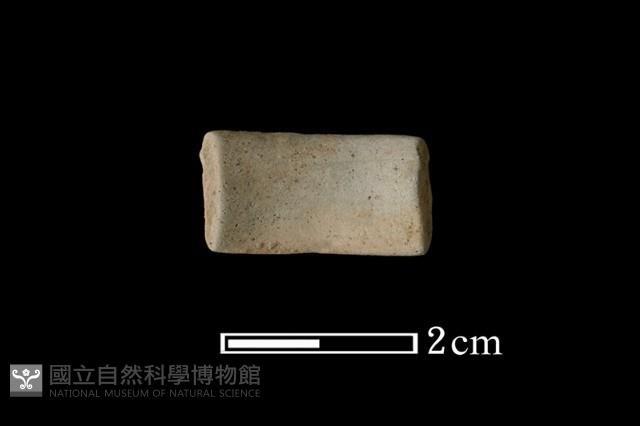 陶環藏品圖，第2張