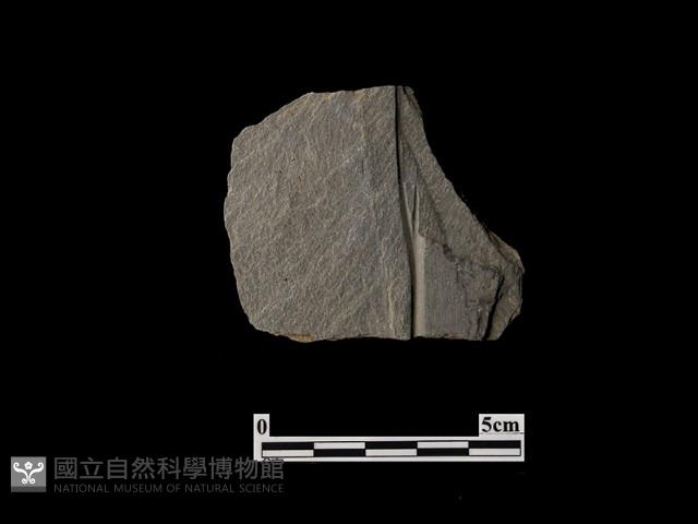 帶加工痕石材藏品圖，第1張