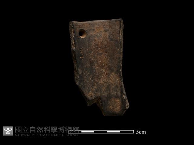 陶環藏品圖，第2張
