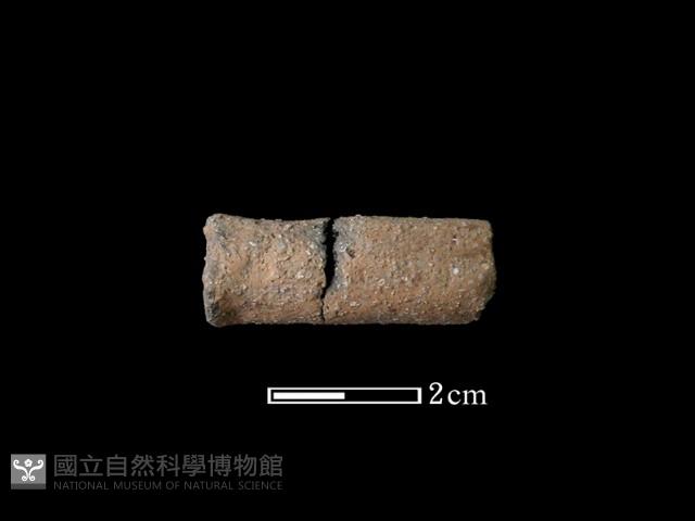 陶耳藏品圖，第1張