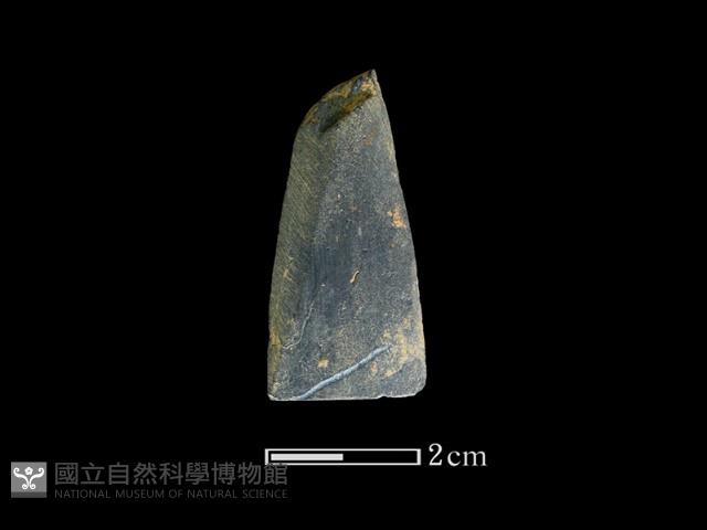 矛鏃形器藏品圖，第2張