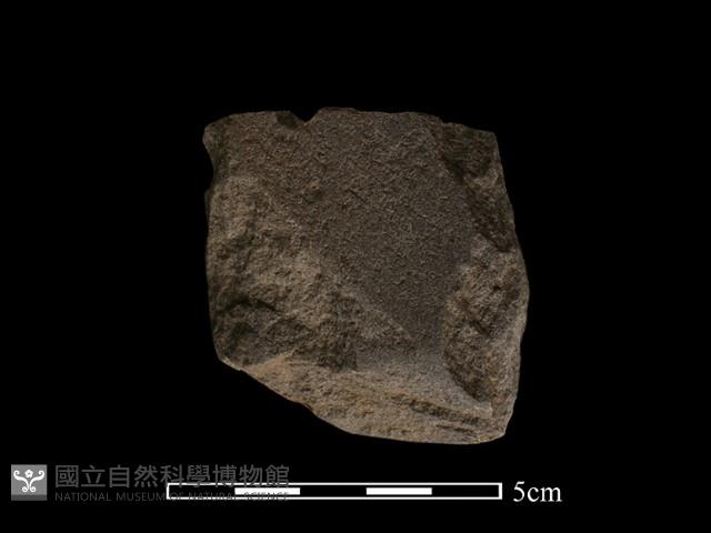 磨製斧鋤形器藏品圖，第1張