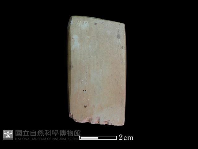錛鑿形器藏品圖，第2張