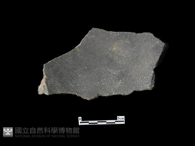 陶片藏品圖，第2張