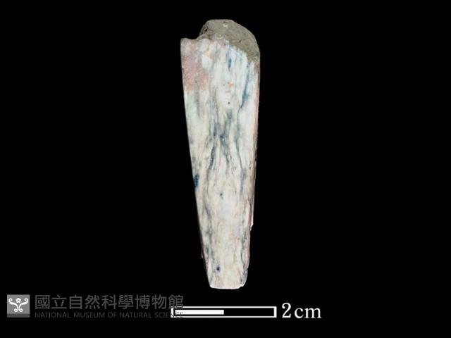 錛鑿形器藏品圖，第2張