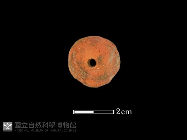 紡輪藏品圖，第2張