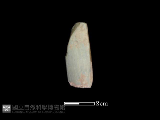 錛鑿形器藏品圖，第2張