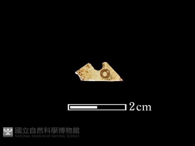 帶加工痕玉材藏品圖，第1張