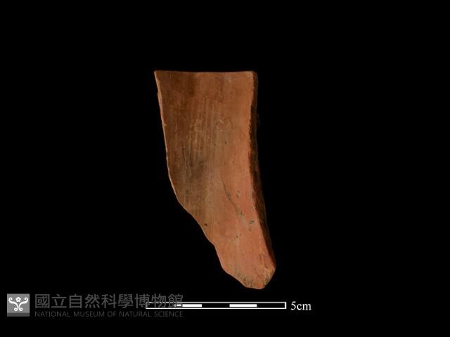 陶環藏品圖，第1張