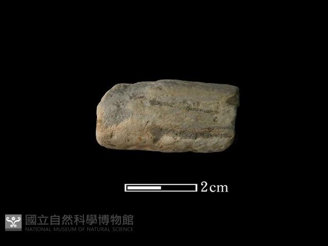 陶耳藏品圖，第1張