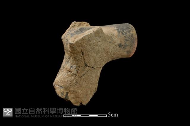 陶偶藏品圖，第3張