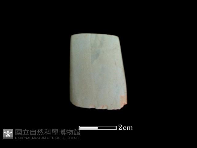 錛鑿形器藏品圖，第2張