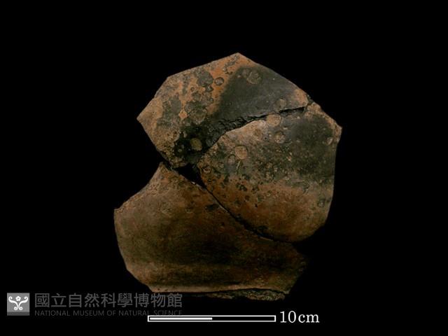豆形器藏品圖，第3張