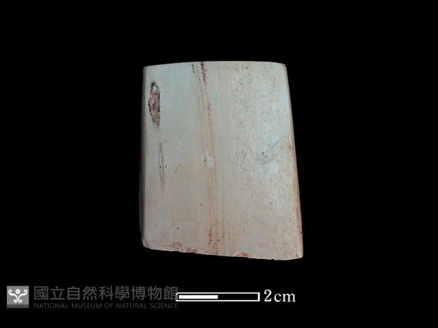 錛鑿形器藏品圖，第1張