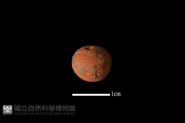 陶珠藏品圖，第1張