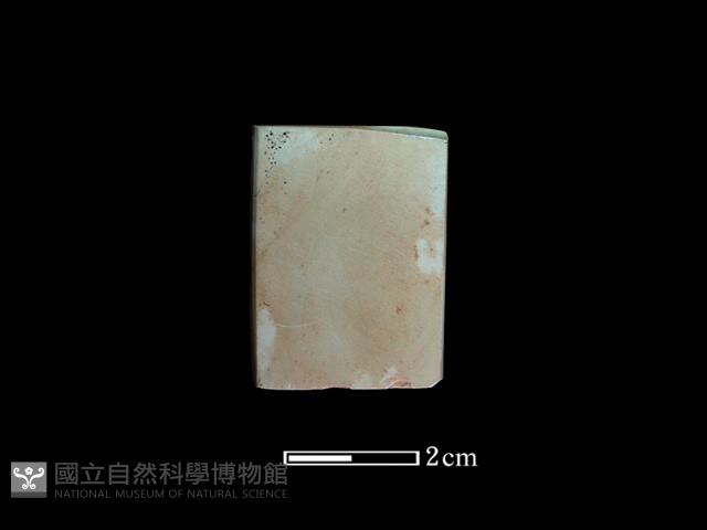 錛鑿形器藏品圖，第2張