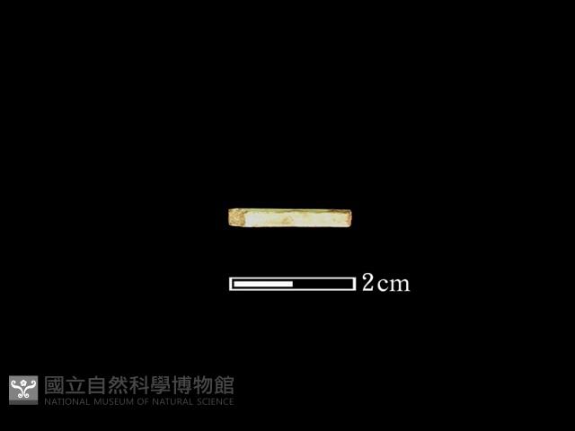 玉針藏品圖，第1張