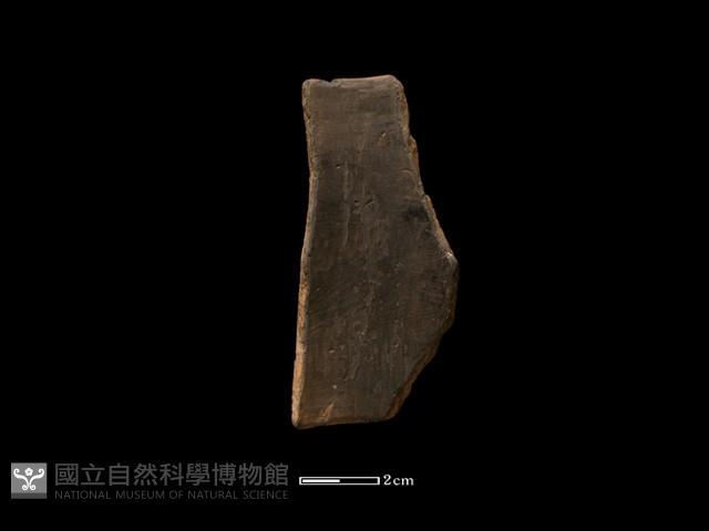陶環藏品圖，第2張