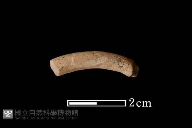 陶環藏品圖，第1張