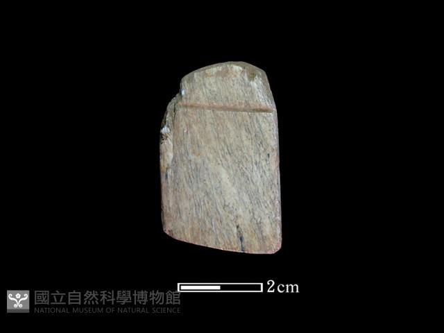 錛鑿形器藏品圖，第2張