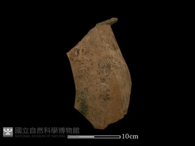 陶罐藏品圖，第3張