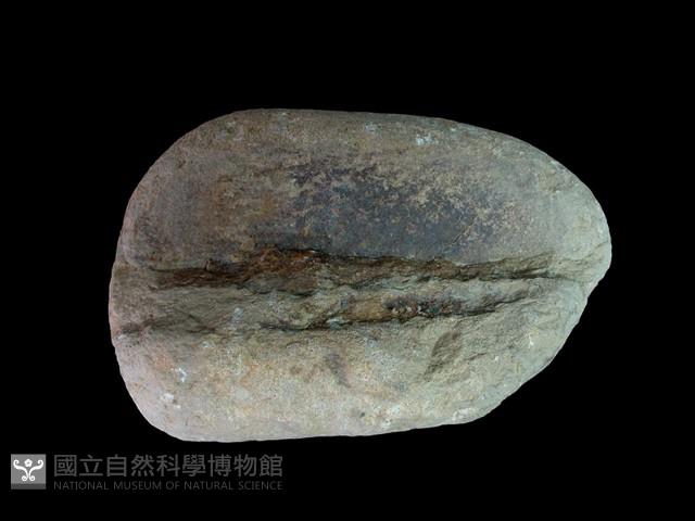 砥石藏品圖，第2張