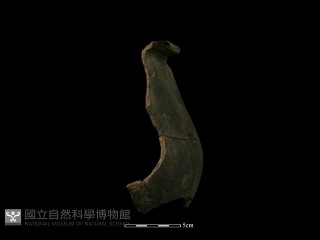 陶罐藏品圖，第3張