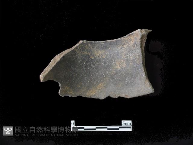 陶片藏品圖，第1張