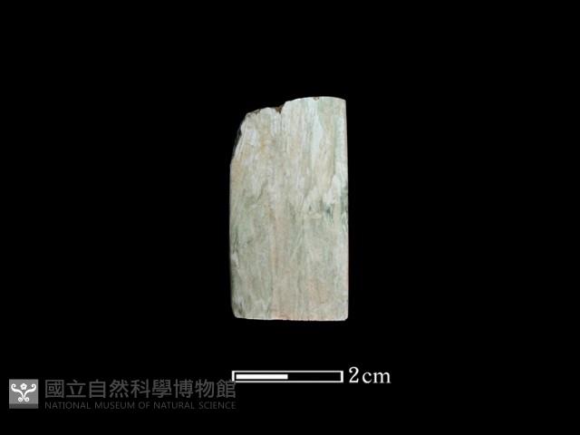 錛鑿形器藏品圖，第1張