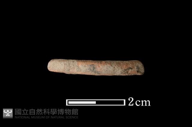 陶環藏品圖，第1張