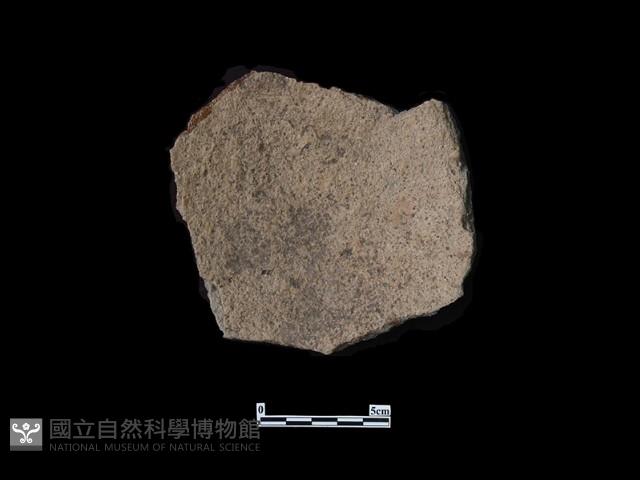 陶片藏品圖，第2張